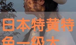 特黄大片在线观看,特黄大片在线观看背后的真相