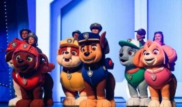 阿奇说新闻爆料电话,新闻爆料热线背后的故事